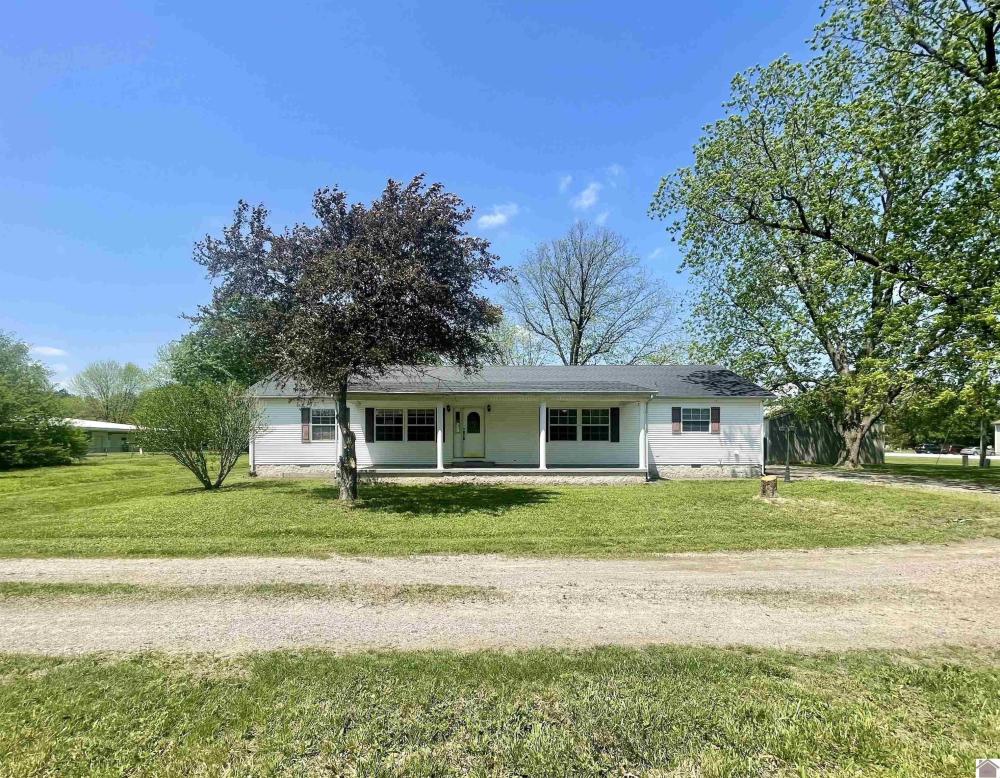Currently Displayed Property Photo