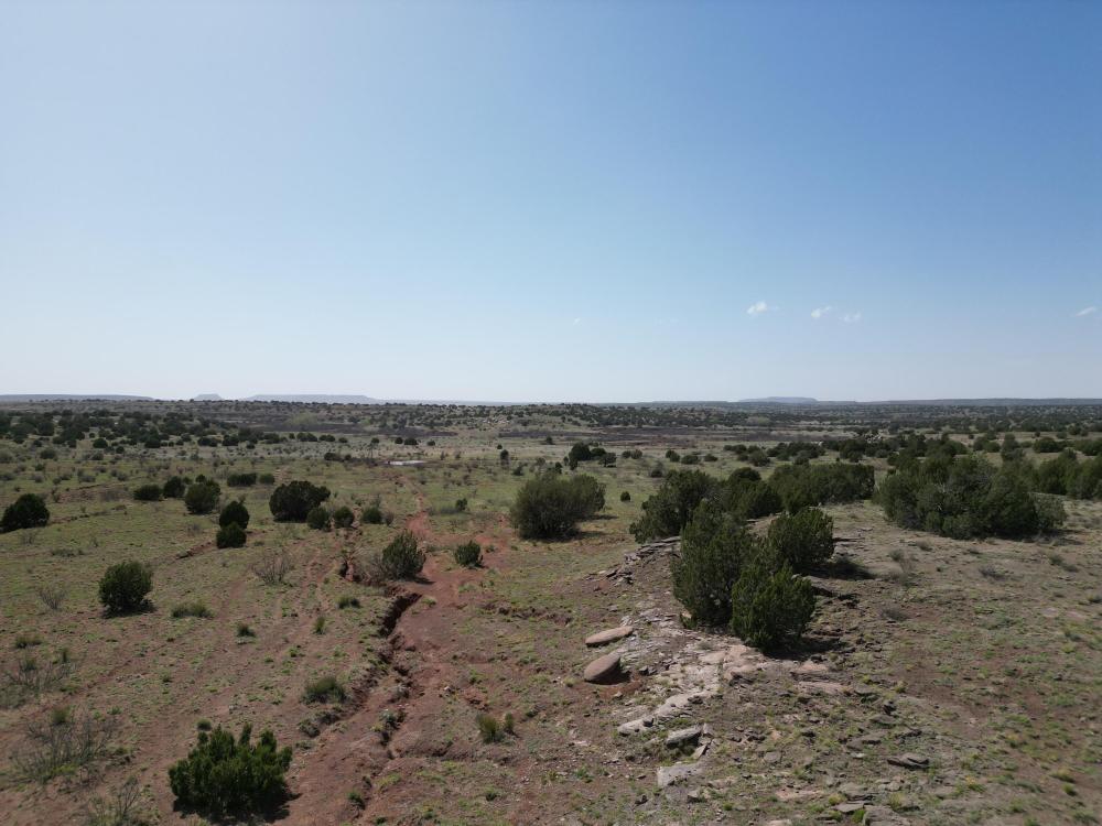 Currently Displayed Property Photo