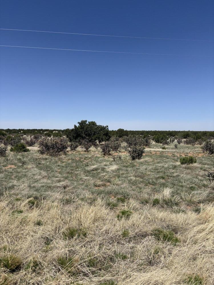 Currently Displayed Property Photo