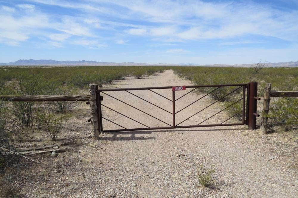 Currently Displayed Property Photo