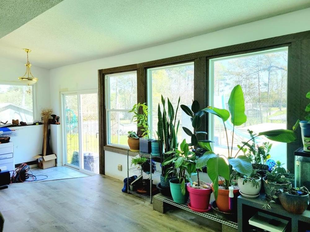 Currently Displayed Property Photo