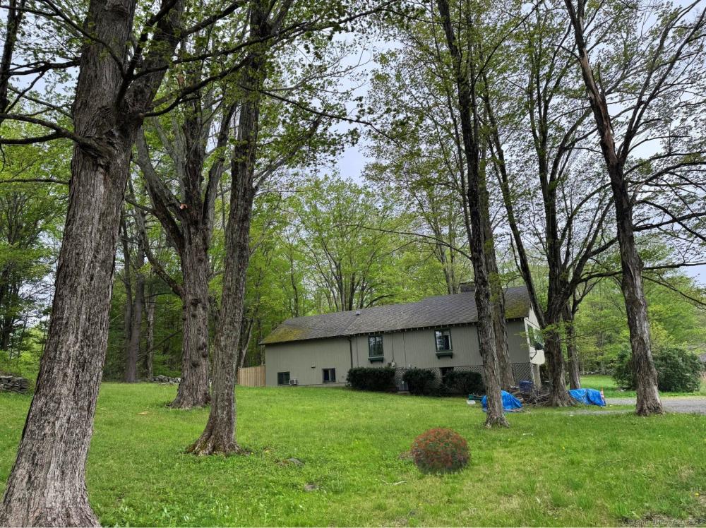Currently Displayed Property Photo