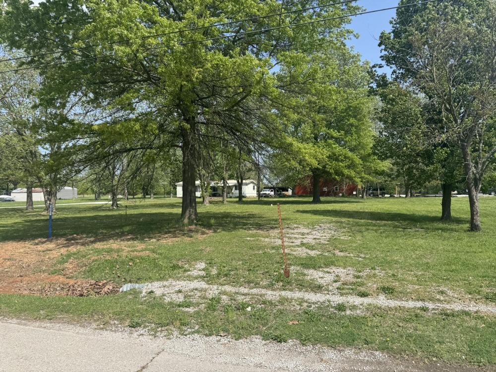 Currently Displayed Property Photo