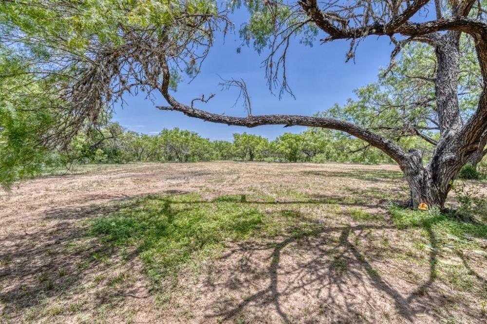 Currently Displayed Property Photo