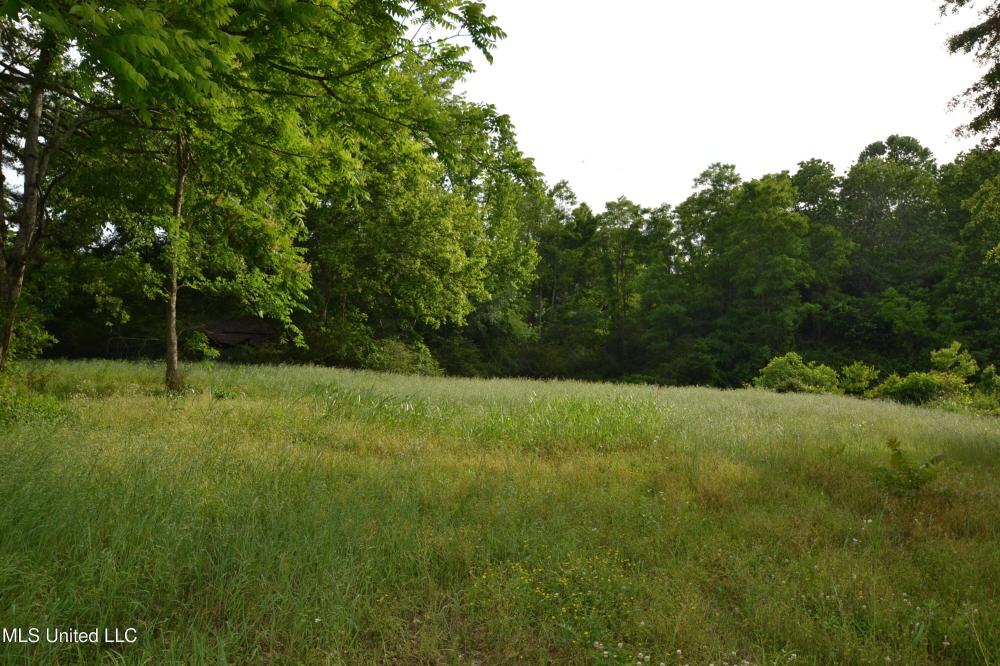 Currently Displayed Property Photo