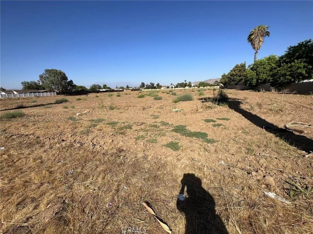 Currently Displayed Property Photo