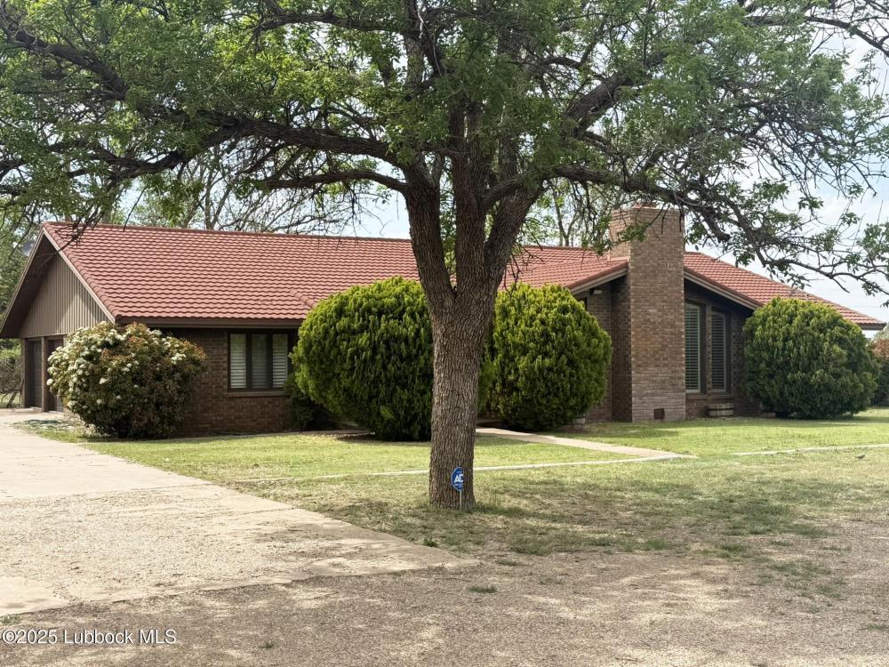 Currently Displayed Property Photo