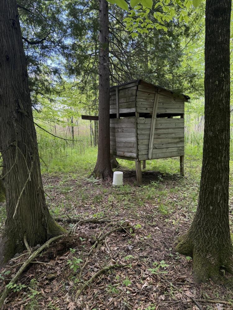Currently Displayed Property Photo