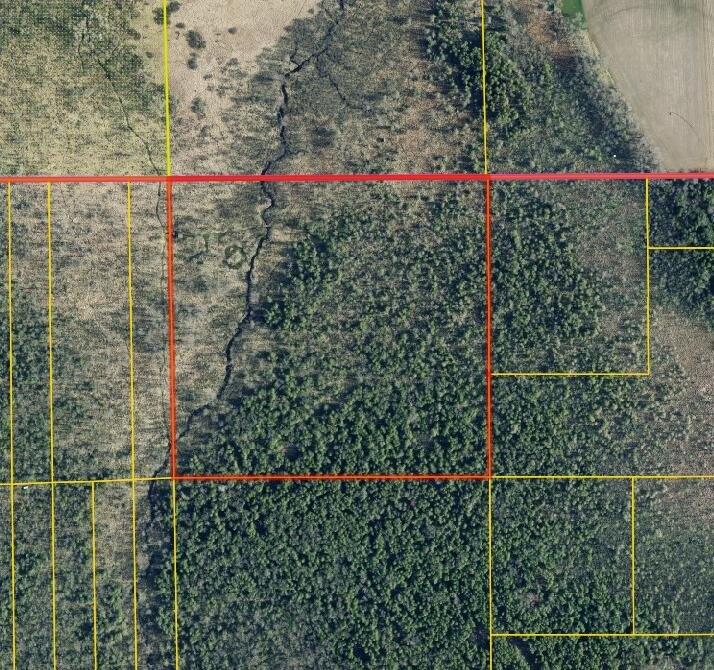 Currently Displayed Property Photo
