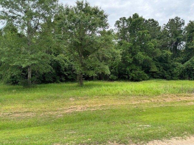 Currently Displayed Property Photo