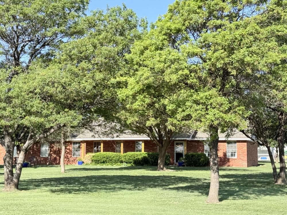 Currently Displayed Property Photo