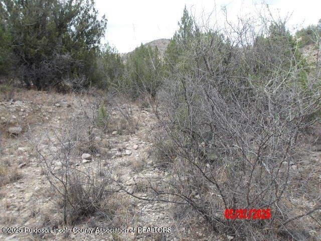 Currently Displayed Property Photo