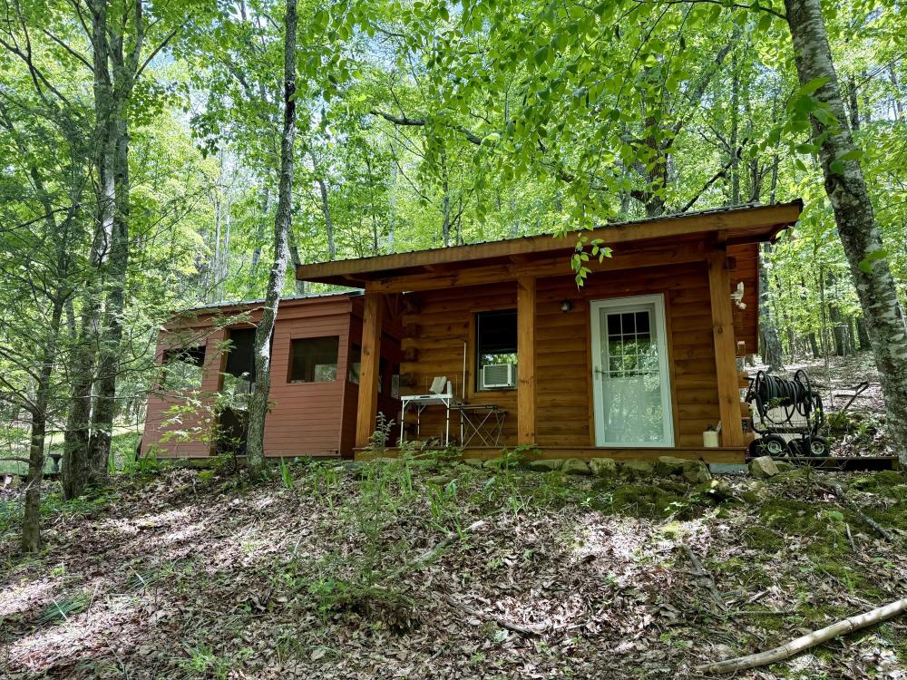 Currently Displayed Property Photo