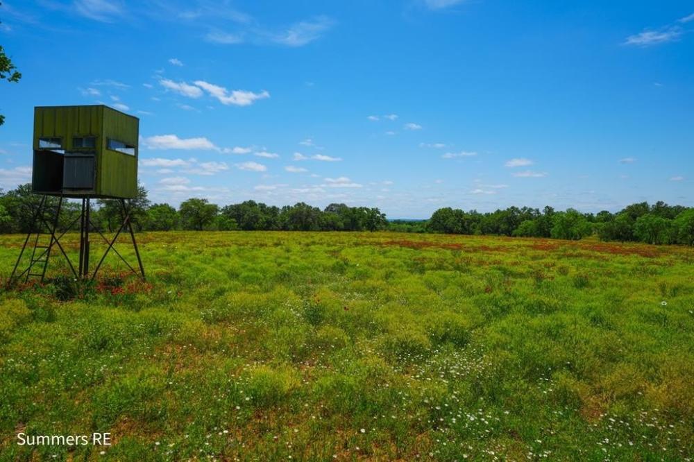 Currently Displayed Property Photo